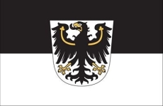 Fahne - Ostpreußen (90)