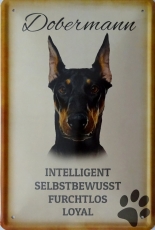 Blechschild - Dobermann - K047 (405)