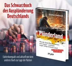 Buch - Plünderland: Wie der Staat die Deutschen arm macht - und bald sogar völlig ruinieren wird