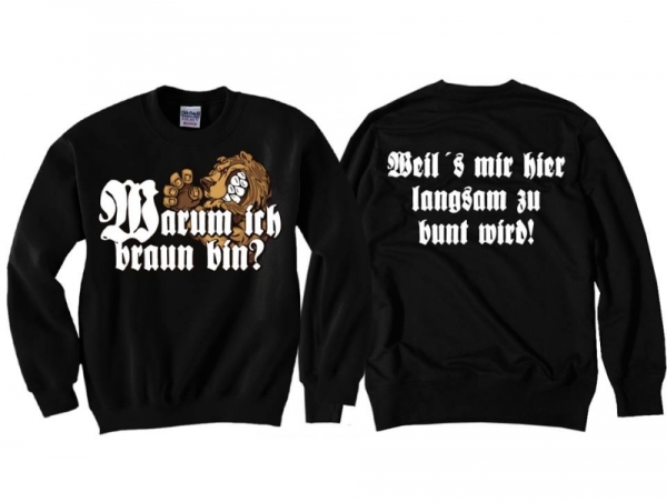 Pullover - Warum ich braun bin? 2 - schwarz