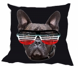 Kissen - Bulldogge - Brille - SWR