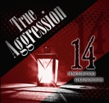 True Aggression -14 dunkeldeutsche Kurzgeschichten-